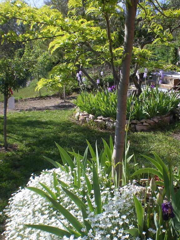Lou Pero Mousco Hotel Saint-Paul-en-Foret Ngoại thất bức ảnh